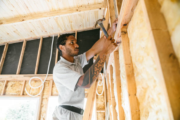 Insulation Repair Services in Hanover, MN